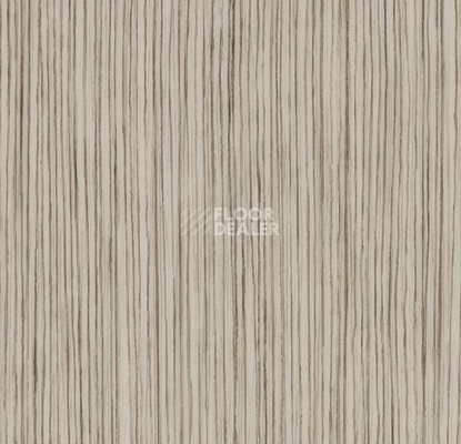 Линолеум Forbo Sarlon Wood 15dB 311T4315 light grey zebrano фото 1 | FLOORDEALER